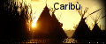 banner pagina