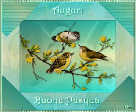 tag Pasqua