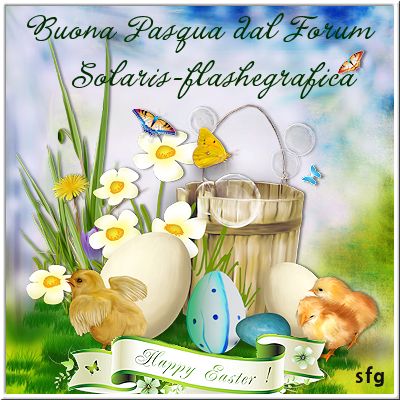 tag Solaris Flash e Grafica