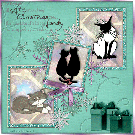 cartolina