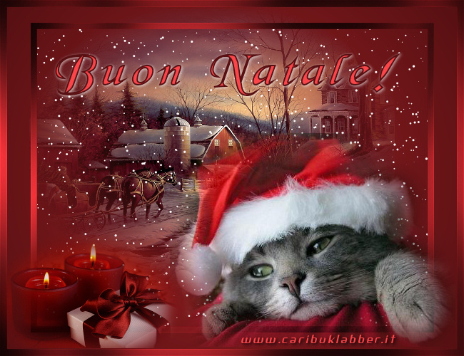 cartolina
