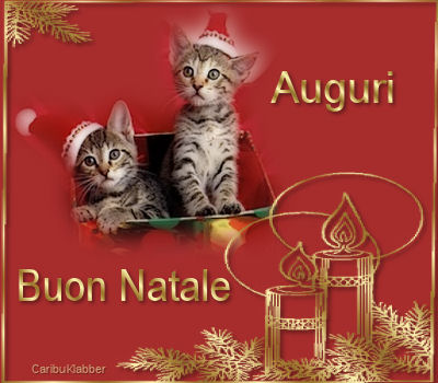 cartolina