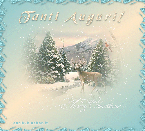 cartolina