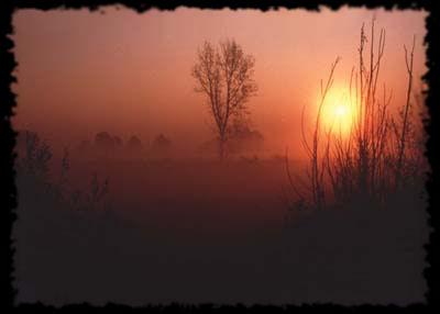 paesaggio