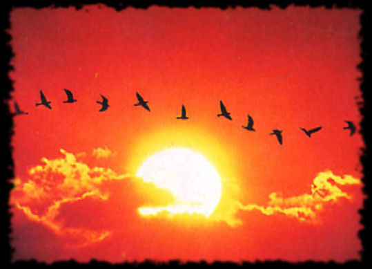 immagine tramonto