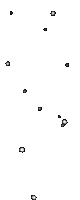 stelline gif