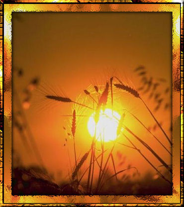 immagine sole