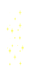 stelle gif