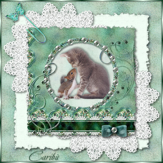 tag gatto