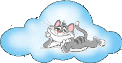 gif gatto