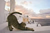 gatto