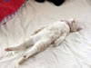 gatto