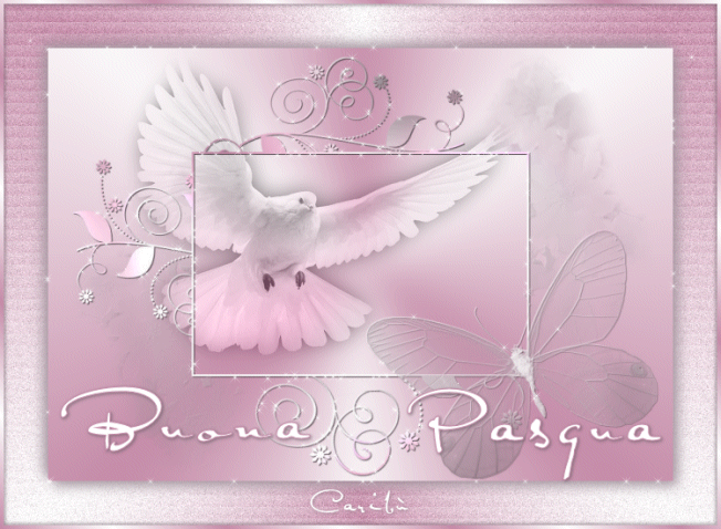 tag Pasqua