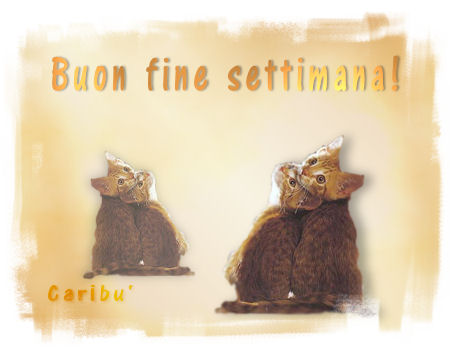 gif Caribù