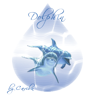 tag animata di Carib