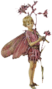 elfo