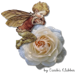 folletto
