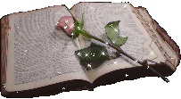 immagine libro