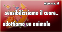 iniziativa