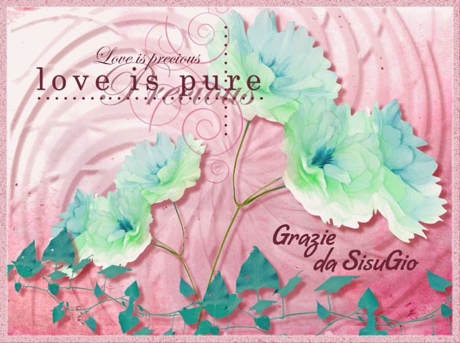 tag Sisu Gio