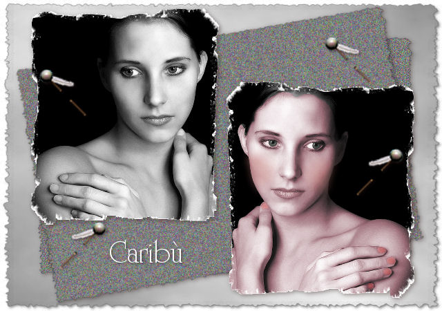 tag di Carib�