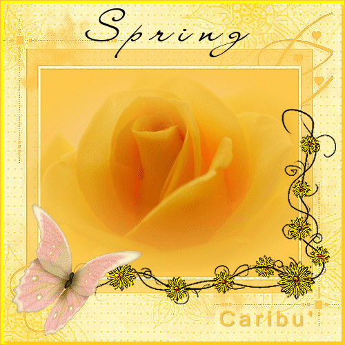 tag animata di Carib